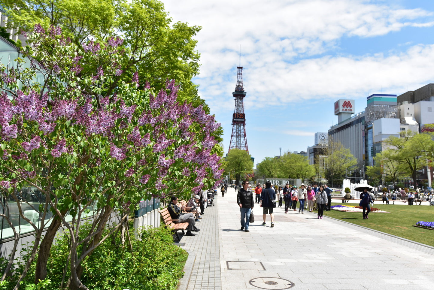 HÀNH TRÌNH 7 NGÀY MÙA XUÂN TẠI PHÍA ĐÔNG HOKKAIDO (09/05 – 26/05)