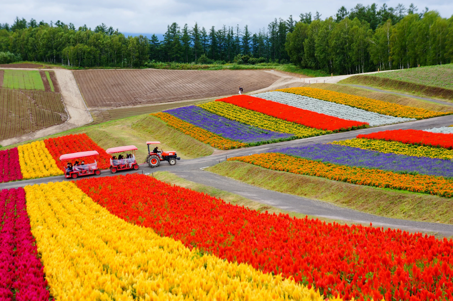 HÀNH TRÌNH 7 NGÀY MÙA XUÂN TẠI PHÍA ĐÔNG HOKKAIDO (09/05 – 26/05)