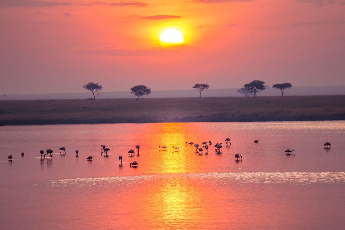 FAIRMONT Ở KENYA: HÀNH TRÌNH KỲ DIỆU 3 ĐIỂM DỪNG VÀO LỊCH SỬ VÀ BẢO TỒN