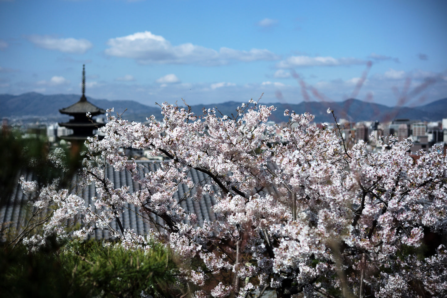 PARK HYATT KYOTO | KHUYẾN MÃI ĐỘC QUYỀN HYATT PRIVÉ, Tặng USD 100 Hotel credit