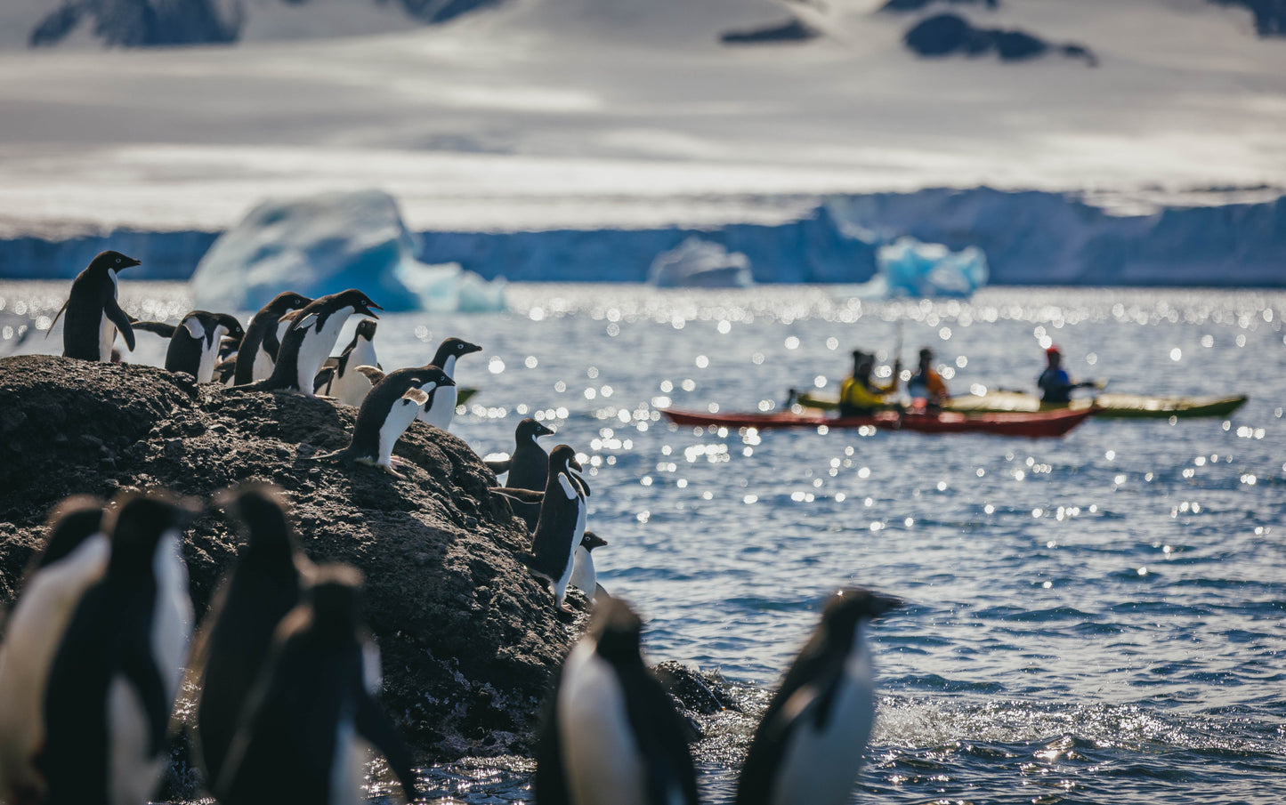 HÀNH TRÌNH KHÁM PHÁ NAM CỰC ANTARCTIC EXPRESS: CROSSING THE CIRCLE - OCEAN EXPLORER