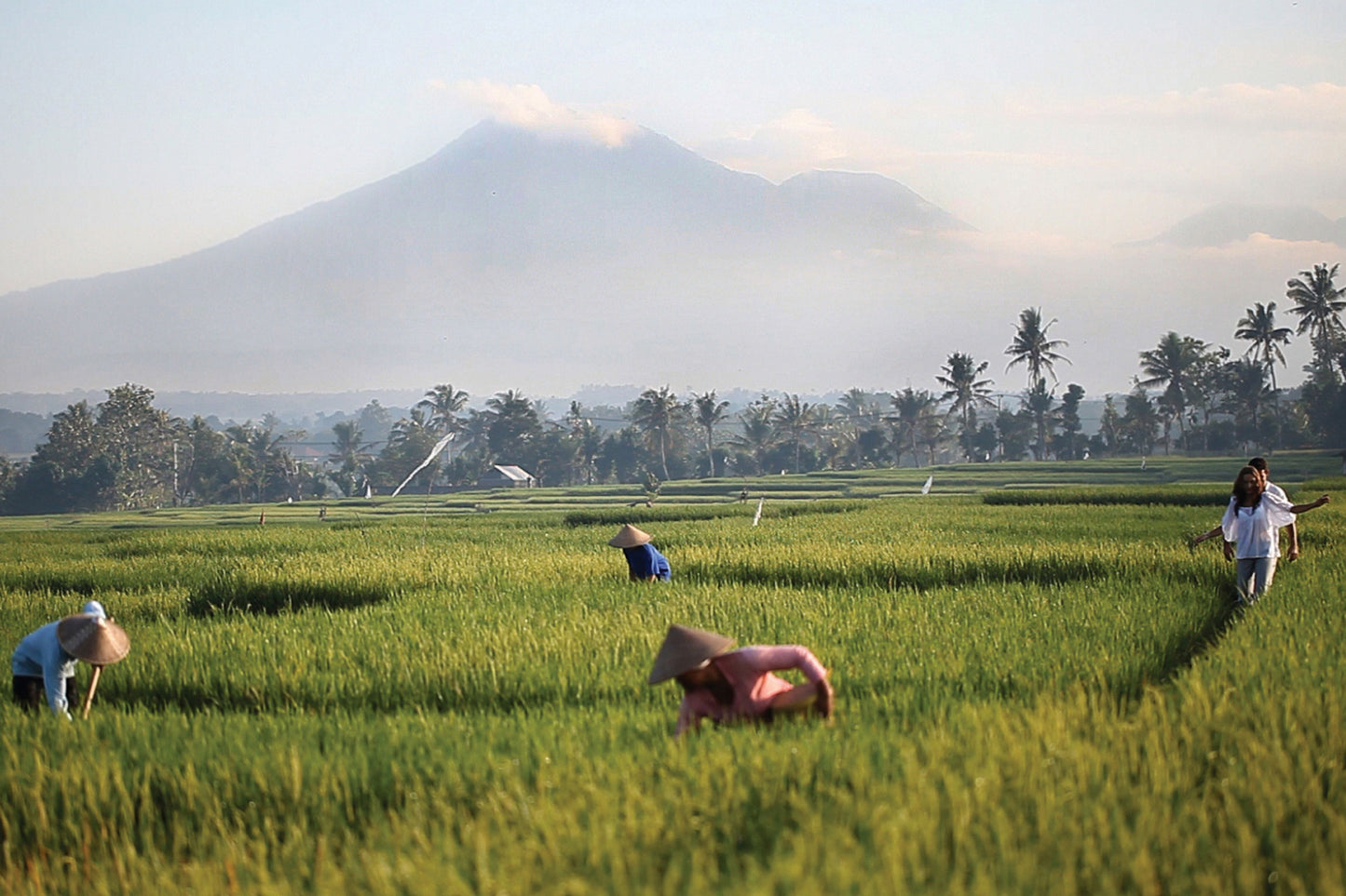 SOORI BALI | KHUYẾN MÃI ĐỘC QUYỀN VITA BY LEADING HOTELS OF THE WORLD và TẶNG USD 100 HOTEL CREDIT