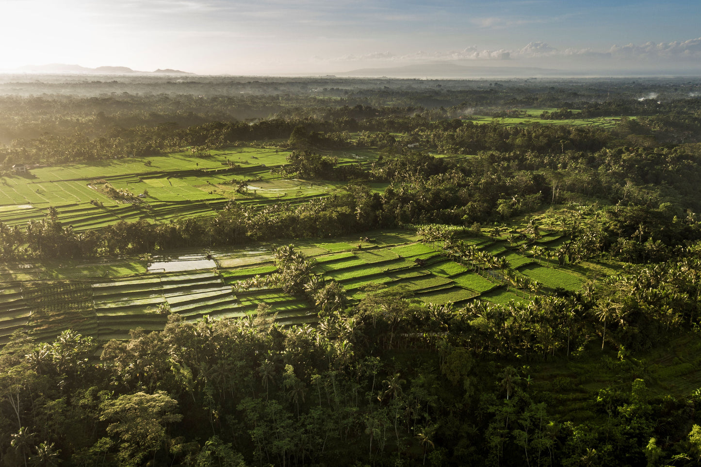 COMO SHAMBHALA ESTATE BALI | KHUYẾN MÃI ĐỘC QUYỀN COMO PREFFERED PARTNER