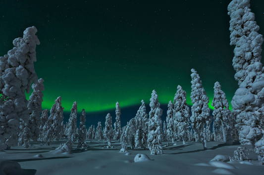 HÀNH TRÌNH 8 NGÀY TẠI LEVI, LAPLAND