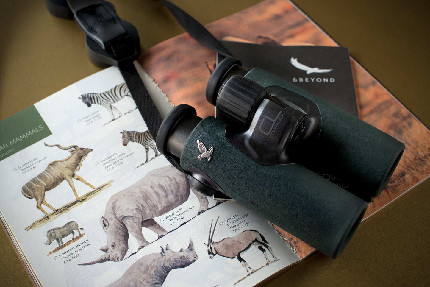 &BEYOND NAMIBIA | 7 DAYS SOSSUSVLEI DISCOVERY | 1 LODGE
