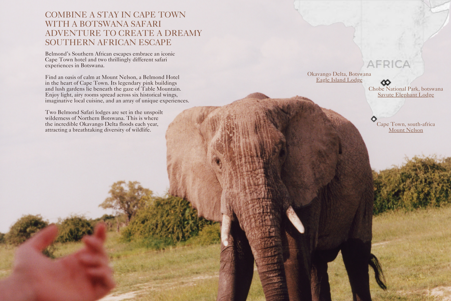 8 DAYS BELMOND SAFARIS | SOUTH AFRICA (CAPE TOWN) - BOSTWANA | 3 LODGES