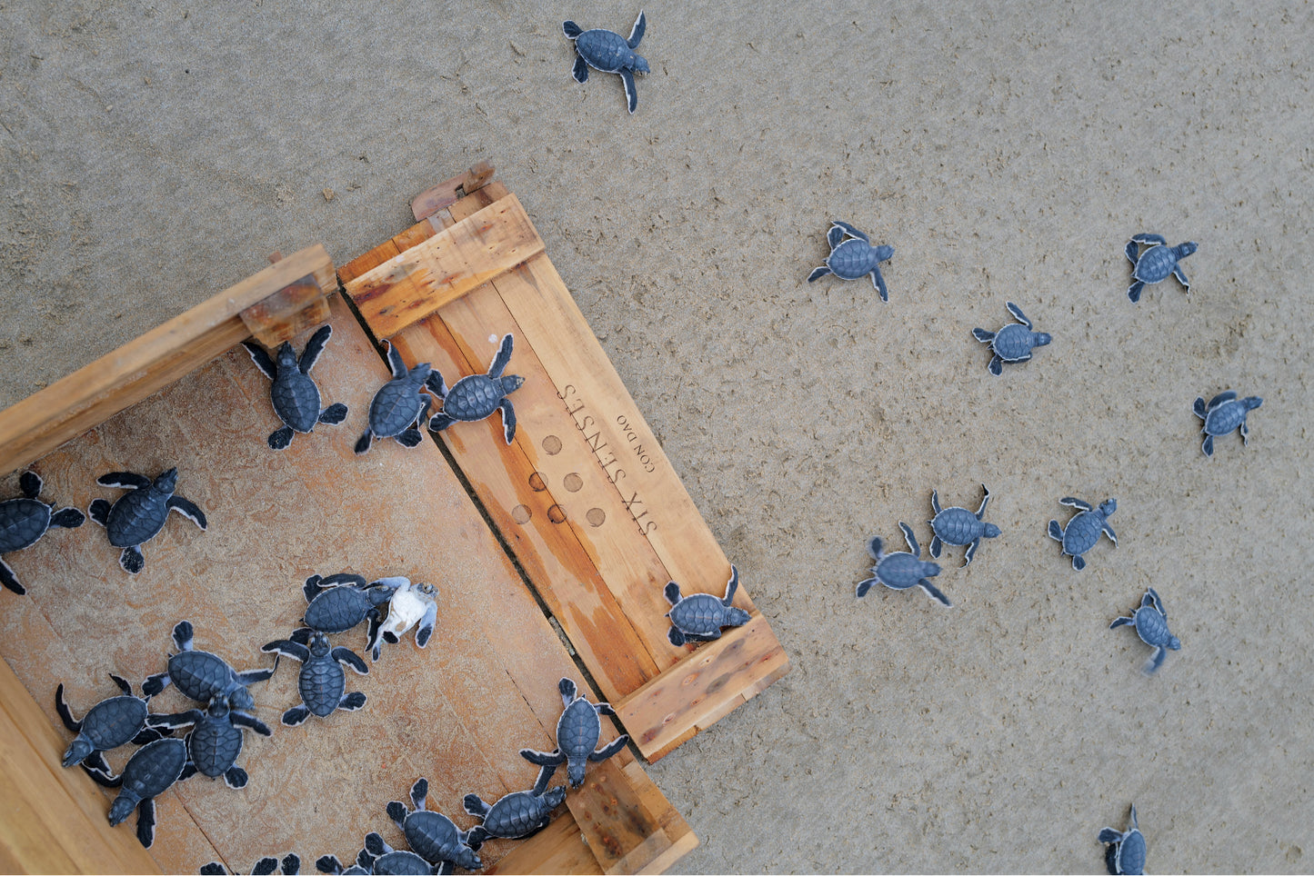 SIX SENSES NINH VAN BAY, NHA TRANG 
