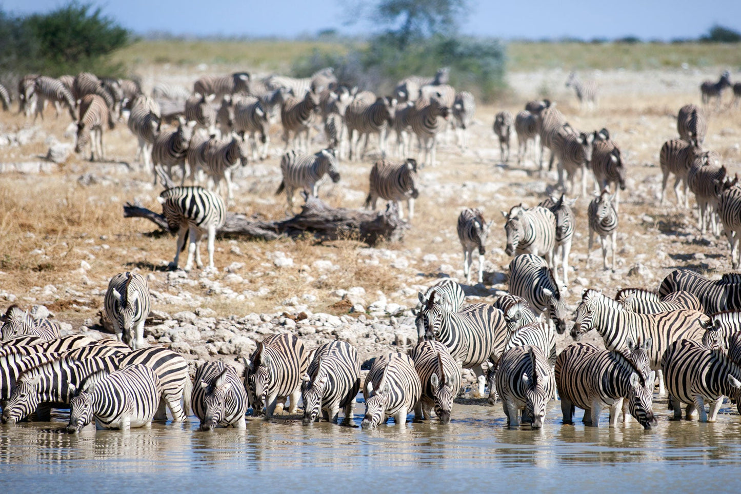 &BEYOND NAMIBIA | 7 DAYS SOSSUSVLEI DISCOVERY | 1 LODGE
