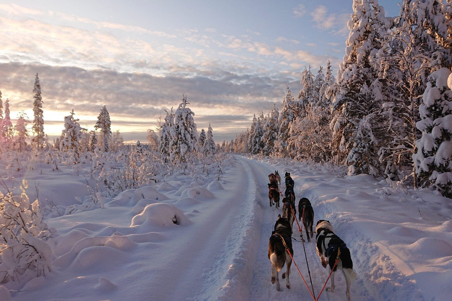 HÀNH TRÌNH 8 NGÀY TẠI LEVI, LAPLAND