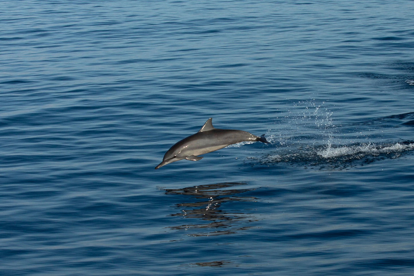 AMANWANA, MOYO ISLAND | EXCLUSIVE OFFERS