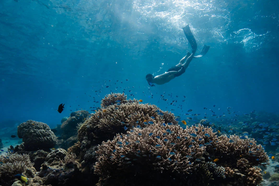 AMANWANA, MOYO ISLAND | EXCLUSIVE OFFERS
