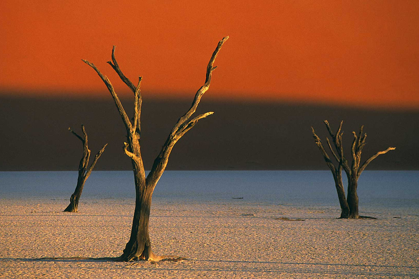 &BEYOND NAMIBIA | 7 DAYS SOSSUSVLEI DISCOVERY | 1 LODGE