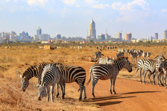 FAIRMONT Ở KENYA: HÀNH TRÌNH KỲ DIỆU 3 ĐIỂM DỪNG VÀO LỊCH SỬ VÀ BẢO TỒN