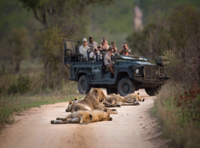 SINGITA NAM PHI - ZIMBABWE